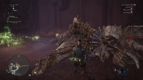 魔物猎人 世界 试玩 Monster Hunter World 2nd Beta Pukei Pukei Hammer VS