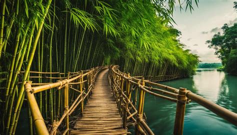 Explore the Bamboo Hanging Bridge, Bohol Philippines