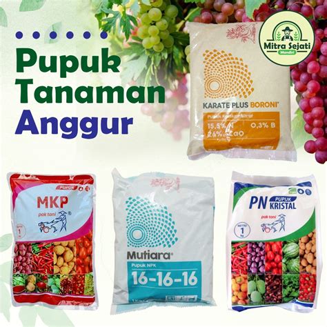 Jual Paket Pupuk Tanaman Anggur Gram Merangsang Buah Atasi