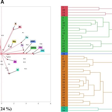 A PCA Bi Plot Of Honey Samples B Dendrogram Of Hierarchical Cluster