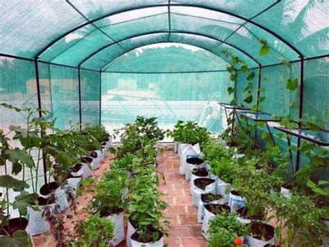 Rooftop Farming, Rooftop Organic Farming in India