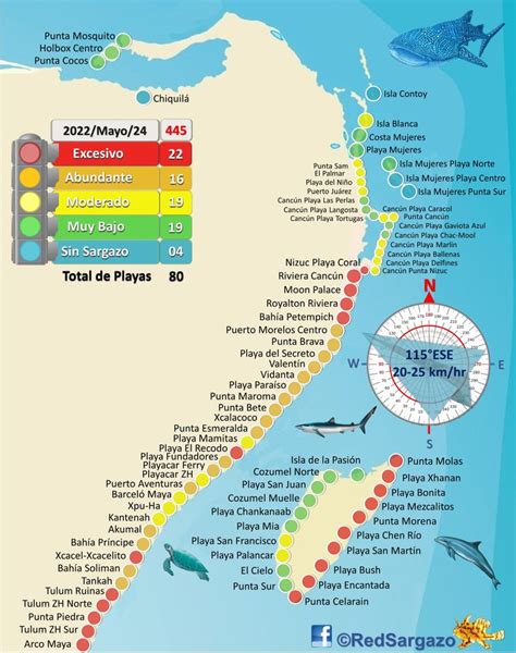 Mapa De Sargazo En Cancun Lucky Rozina