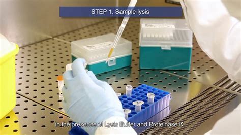 Viasure Real Time Pcr Detection Kits Nucleic Acids Extraction And Initiation Protocol Youtube