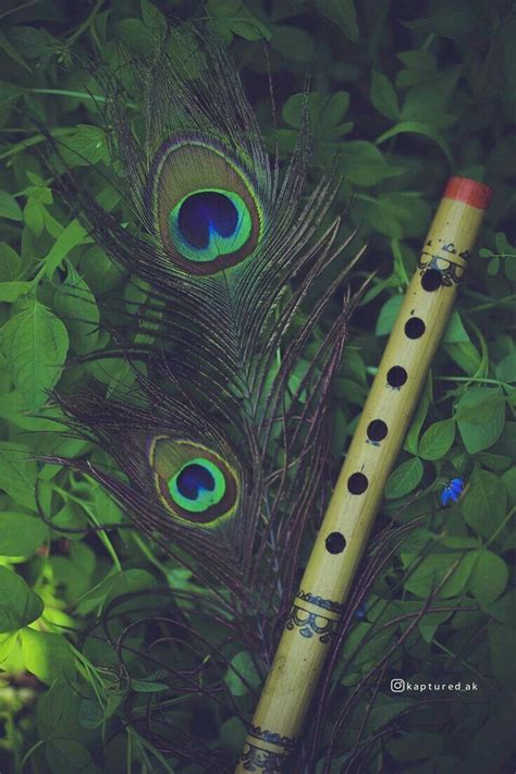 Feather Wallpaper Krishna Flute Images Flute Mandir God Deity Hindu