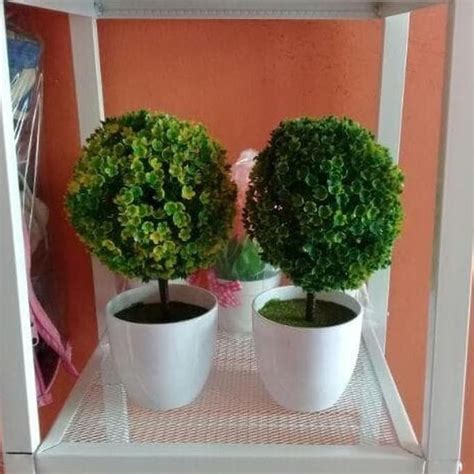 15 Pot Bonsai Plastik Shopee