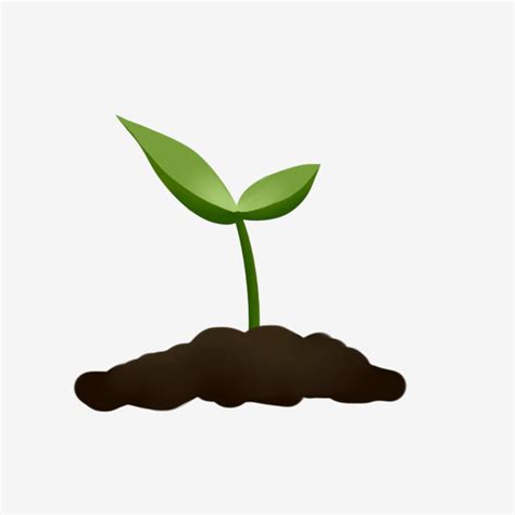 Green Plant Clipart Transparent Png Hd Freshly Sprouted Plant