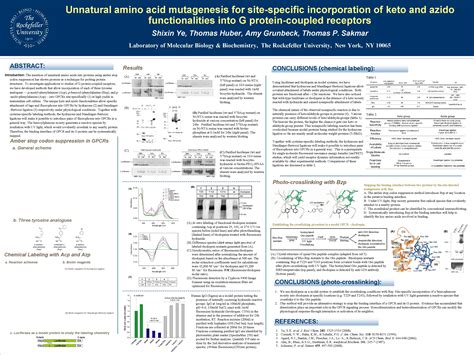 Unnatural Amino Acid Mutagenesis For Sitespecific Incorporation Of