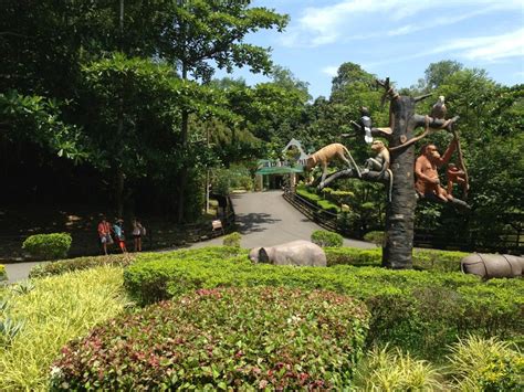 Lok Kawi Wildlife Park, Borneo, Malaysia | Wildlife park, Wildlife, Park