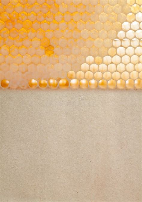 Organic Yellow Gold Honeycomb Texture With Fresh Stock Image Image