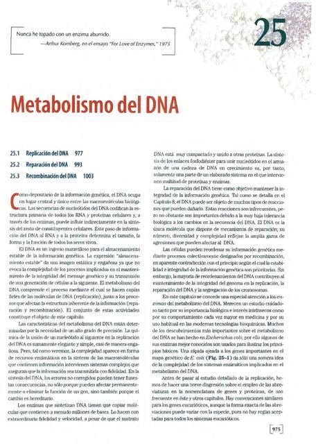 Capitulo Lehninger Principios De Bioqu Mica Edicion Fernanda