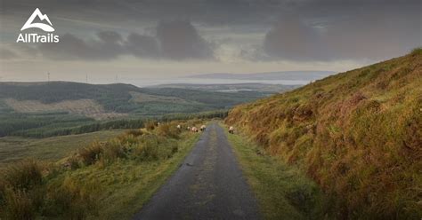 Best hikes and trails in Burren | AllTrails