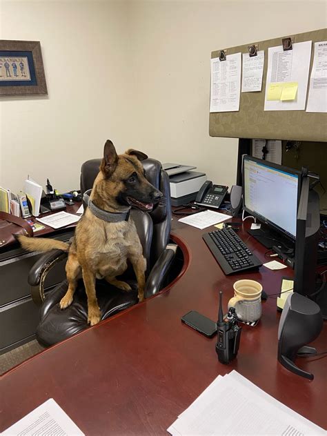 K 9 Cop Magazine Posted On Linkedin