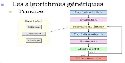 Sch Ma De Principe Pour Les Algorithmes G N Tiques Source