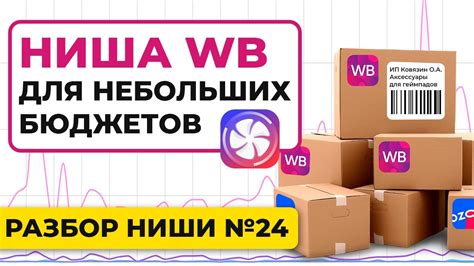 Ниша Wildberries для новичков с небольшим бюджетом 50-100К - YouTube