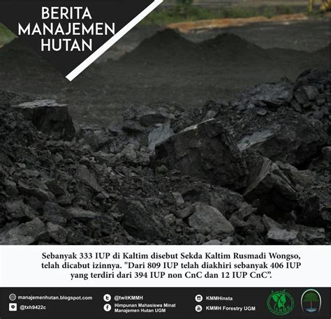 Berita Manajemen Hutan Izin Pertambangan Di Kaltim Dicabut Tanggapan