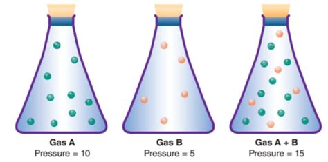 Chapter The Diffusion Of Pulmonary Gases Flashcards Quizlet