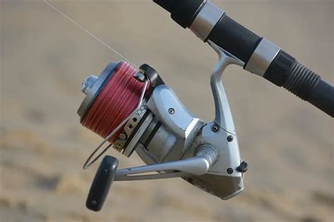 Fishing Rod Types: Learn All About Them 2025 - Outdoorsity