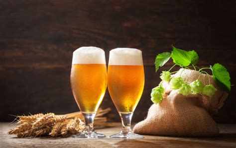 What Wheat Beer Is: Taste, 7 Best Beers + 7 Popular Brands