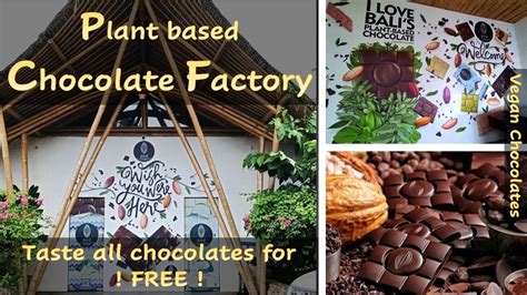 Bali Indonesia Chocolate Factory Junglegold Pod Vegan Chocolates