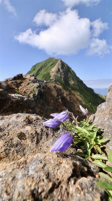 地蔵ノ頭・赤岳八ヶ岳 ストーブさんの八ヶ岳（赤岳・硫黄岳・天狗岳）の活動データ Yamap ヤマップ