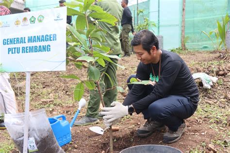 PLN Nusantara Power Serentak Gelar Aksi Tanam Satu Juta Pohon