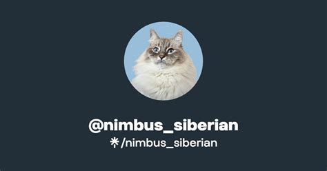 nimbus_siberian | Instagram, Facebook, TikTok | Linktree