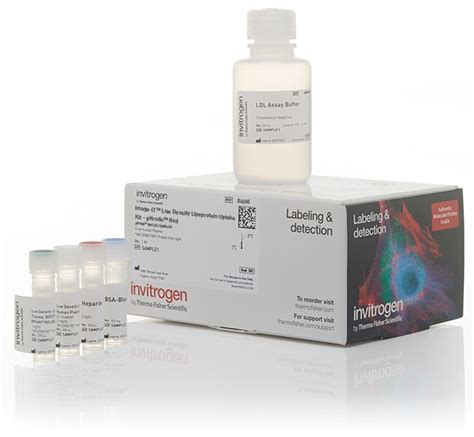 Image It Low Density Lipoprotein Uptake Kit Phrodo Red