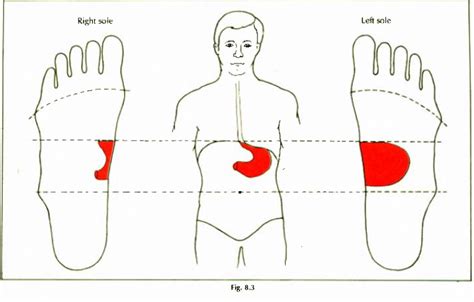 Abdominal Stomach Problems Learn Self Healing Techniques Online