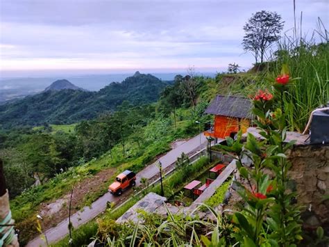 Saung Koffie Hideung Wisata Di Puncak Sempur Jadi Alternatif Pilihan