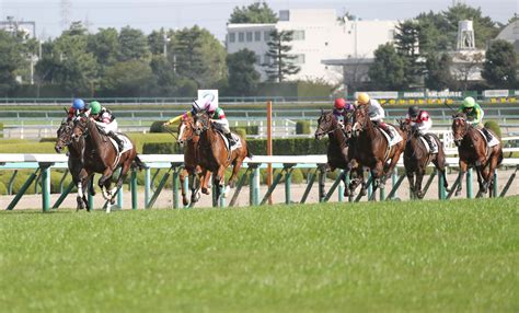 【播磨の土曜競馬コラム・エリカ賞】 日刊ゲンダイ競馬