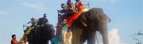 TRADITIONAL WEDDING CEREMONY IN SRI LANKA - Indigo Lanka