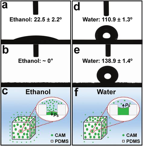 A Ethanol Contact Angle Eca On The Surface Of Pdms B Eca On The