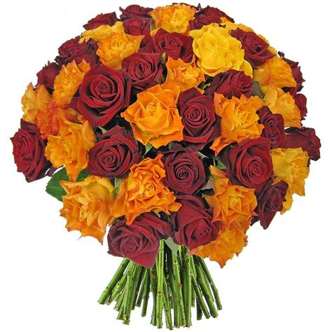 Vulcan Roses Delivery 25 Roses Bouquet Of Roses Foliflora