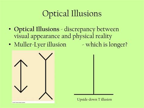 How Optical Illusions Are Related To Psychology – Deceptology