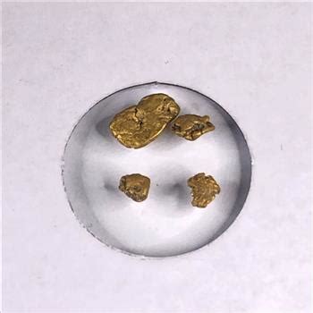 10 Grains of Raw Natural Gold Nuggets High Purity | Property Room