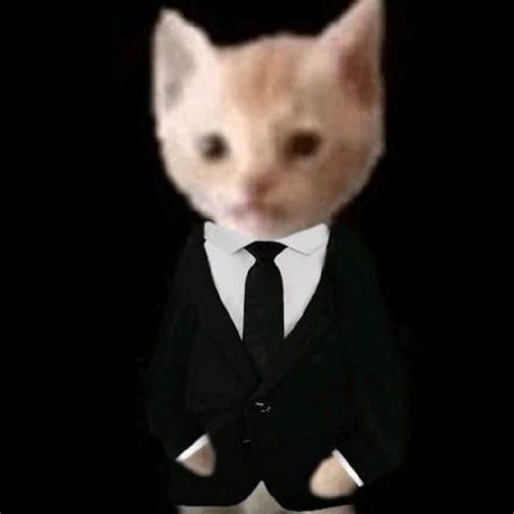 Gato Con Traje