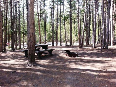 Canyon Campground Yellowstone National Park 17