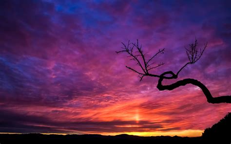 Wallpaper Sunlight Landscape Sunset Silhouette Sunrise Evening