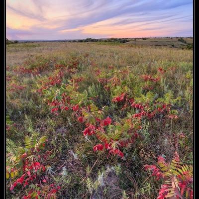 Scott Bean Photography Prairie Heritage Inc