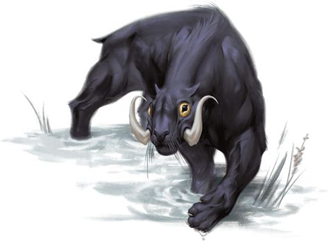 Moorbounder | Critical Role Wiki | Fandom