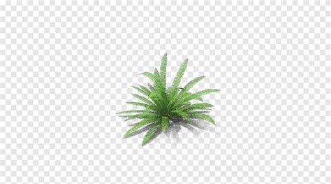 Rotation Angle Grass Png PNGEgg