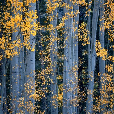 Winners Of The 2021 Close Up Photographer Of The Year