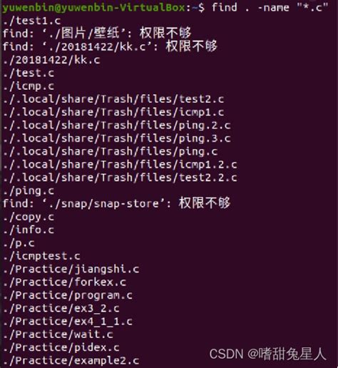 Linux基本命令的使用（2）linux查找后缀为c的文件 Csdn博客