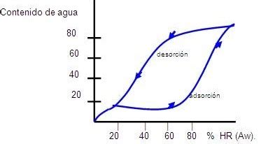 El Agua En Los Alimentos Isotermas De Adsorci N Y Desorci N