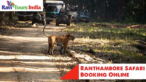 Ranthambore Safari Booking Online| RaviToursIndia