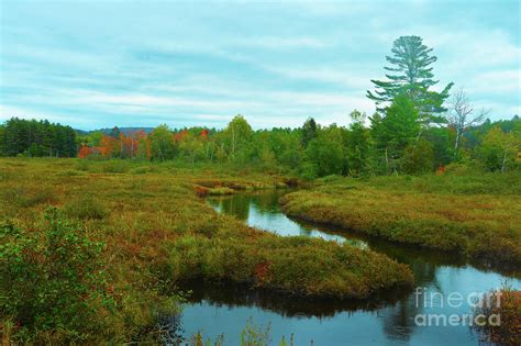 Fall Foliage Photograph By Jonathan Lingel Fine Art America