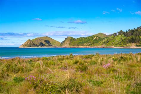 20 Mahia Peninsula Foto Stok Potret And Gambar Bebas Royalti Istock