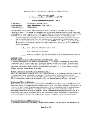 Fillable Online Epa Environmental Indicator Determination Ciba Geigy