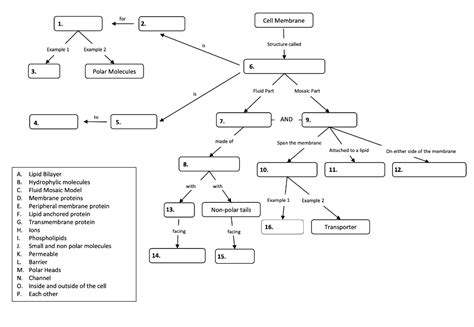 Topic 2 Concept Map Part 2 Name Membrane