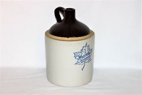 Vintage Western Stoneware Gallon Crock Jug With Fern Pattern Fern